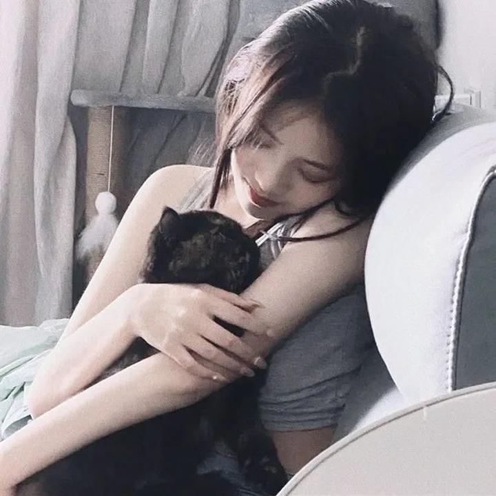 影帝的公主短剧版